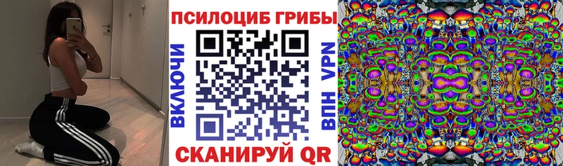 Псилоцибиновые грибы прущие грибы  Гаджиево 